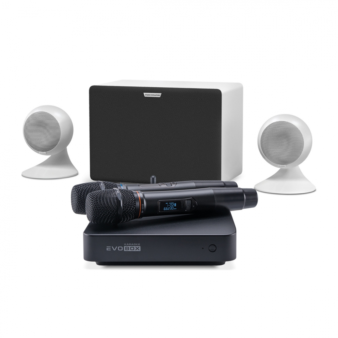 караоке-комплект EVOBOX Classic + EvoSound Sphere 2.1 в Сибае