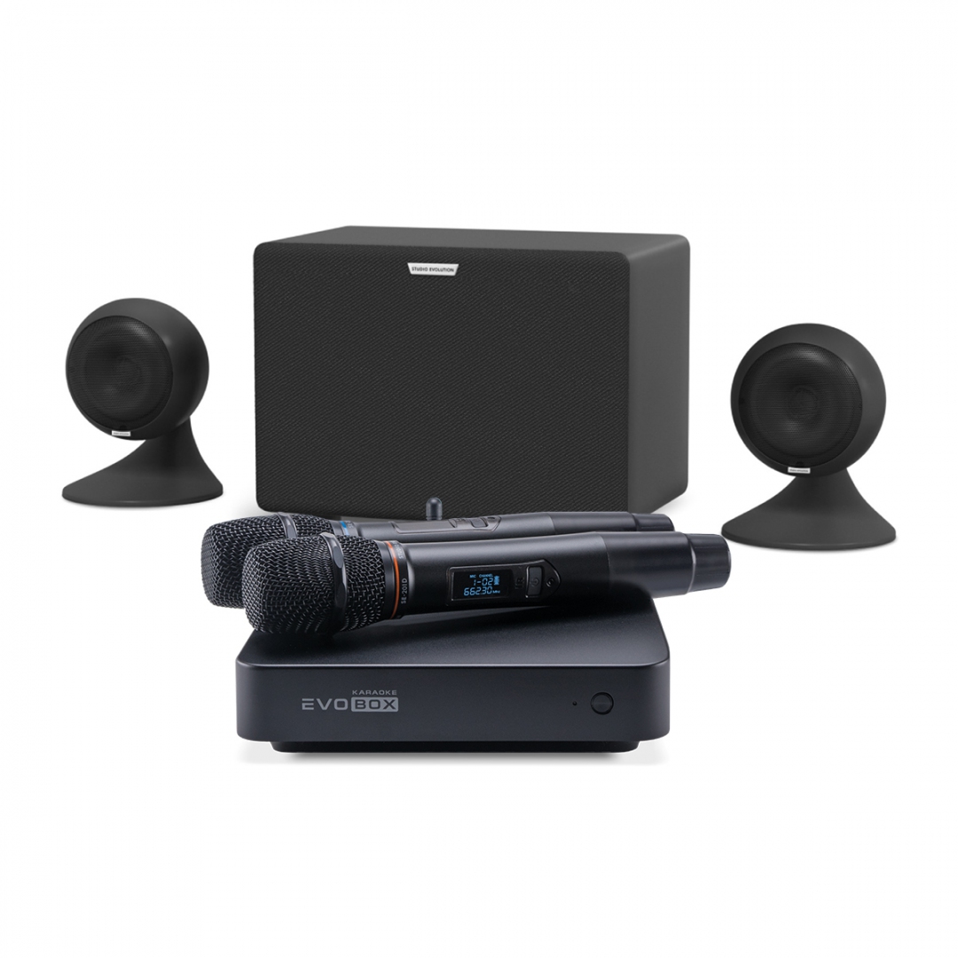 караоке-комплект EVOBOX Plus + EvoSound Sphere 2.1 в Сибае