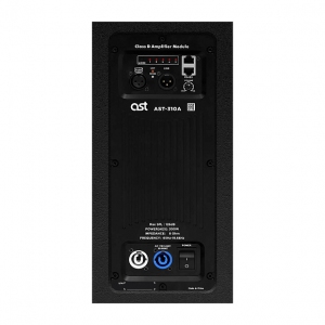 Активная акустическая система AST-310A в Сибае