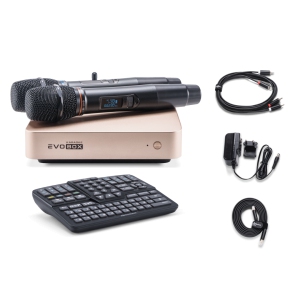 EVOBOX Classic караоке-система для дома в Сибае