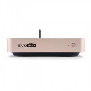 EVOBOX Plus караоке-система для дома в Сибае