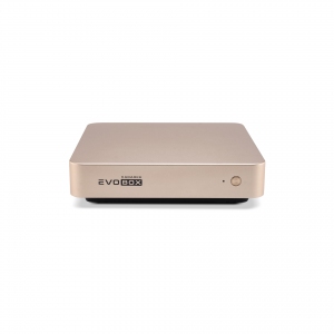 EVOBOX с микрофонами в Сибае